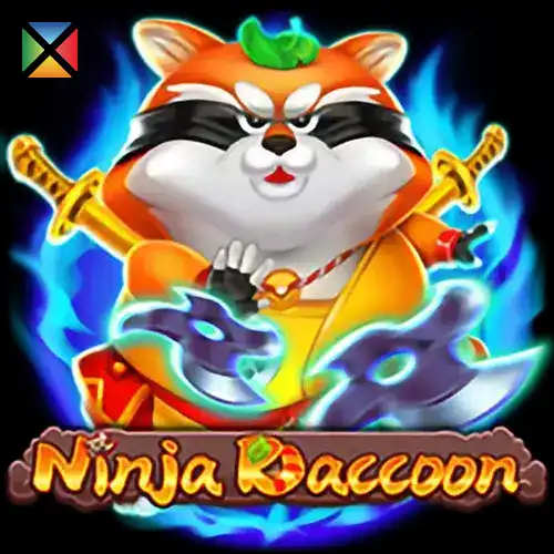 Ninja Raccoon