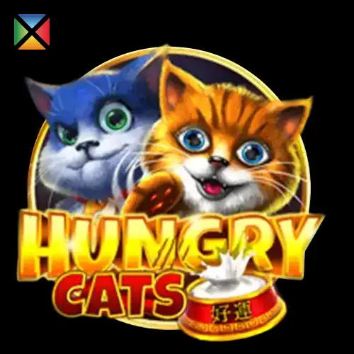 Hungry Cats