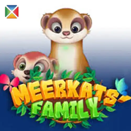 Meerkats Family