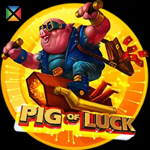 Pig Of Luck